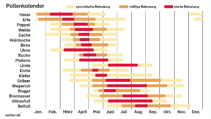 Pollenflugkalender Deutschland