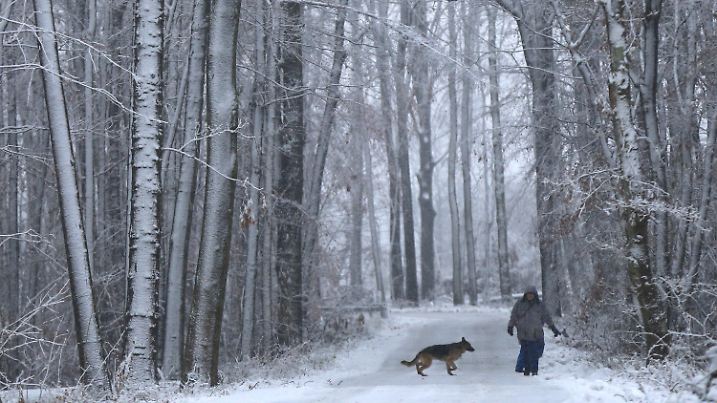 ARCHIV - 26.12.2014, Nordrhein-Westfalen, Recklinghausen: Ein Mann mit einem Hund geht über eine verschneite Straße in Recklinghausen. (zu dpa: «Viel Schnee: Landesbetrieb warnt vor herabstürzenden Ästen») Foto: Marcel Kusch/dpa +++ dpa-Bildfunk +++