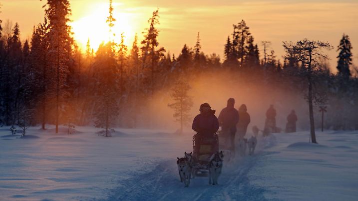 19.01.2016, Aekaeskero, Lappland, Finnland - Menschen fahren bei Sonnenuntergang mit Hundeschlitten durch die unberuehrte Natur. 00S160119D175.JPG MODEL RELEASE: YES, PROPERTY RELEASE: NO MR: Y

19 01 2016 Aekaeskero Lapland Finland People drive at Sunset with Sled dogs through the pristine Nature  JPG Model Release Yes Property Release No Mr y  
