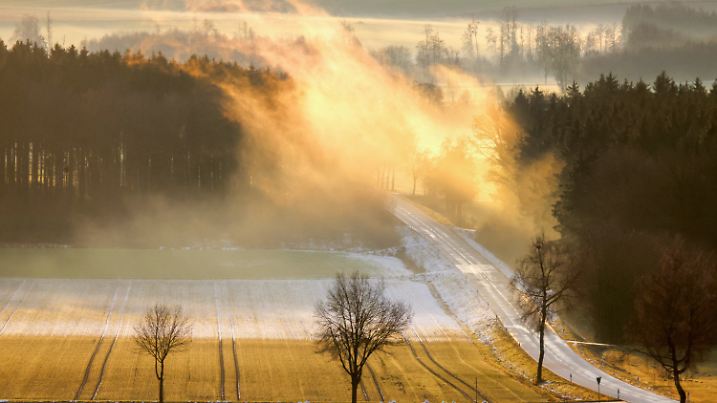ARCHIV - 06.01.2025, Baden-Württemberg, Uttenweiler: Nebel über einem Wald wird am Morgen von der aufgehenden Sonne gelb eingefärbt (zu dpa: «Sturm bringt Winterwetter in den Südwesten») Foto: Thomas Warnack/dpa +++ dpa-Bildfunk +++