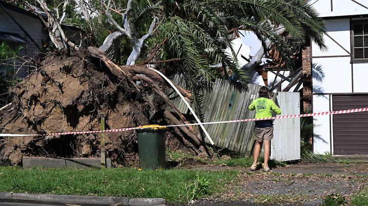 BRISBANE STORM DAMAGE, A house on Gallipoli Road in the suburb of Carina is seen destroyed after a large tree fell on it during a storm in Brisbane, Thursday, January 16, 2025. A large storm containing hail and large winds has passed through south-east Queensland.  ACHTUNG: NUR REDAKTIONELLE NUTZUNG, KEINE ARCHIVIERUNG UND KEINE BUCHNUTZUNG BRISBANE QUEENSLAND AUSTRALIA PUBLICATIONxNOTxINxAUSxNZLxPNGxFIJxVANxSOLxTGA Copyright: xDARRENxENGLANDx 20250116178164741812