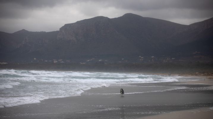 18.01.2025, Spanien, Santa Margalida: Ein Hund läuft am Strand von Son Serra de Marina auf Mallorca an einem windigen und schwülen Tag. Foto: Clara Margais/dpa +++ dpa-Bildfunk +++