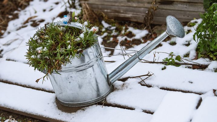 In dem Garten von Initiative Urban Garden HTW steht eine Gießkanne mit Pflanzen im Schnee.