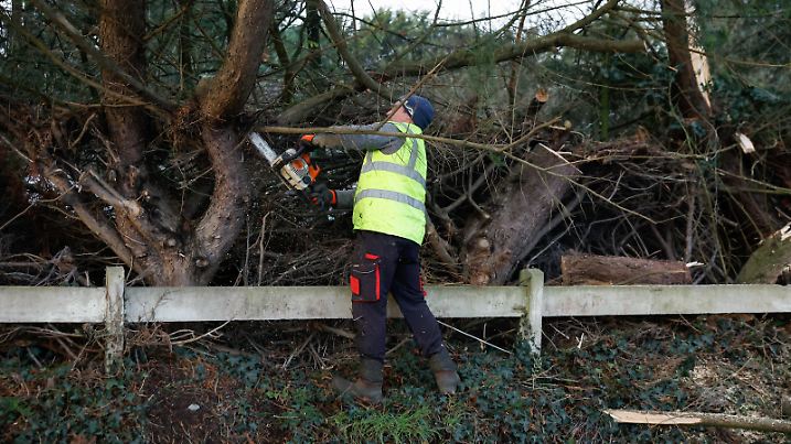 A person works with a chainsaw to clear fallen trees during Storm Eowyn, a status red alert extreme weather warning according to the Irish meteorological service, in Feighcullen, Ireland, January 24, 2025. REUTERS/Clodagh Kilcoyne