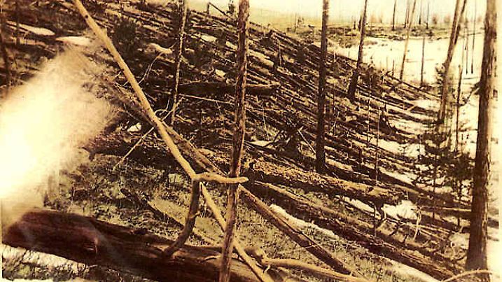 Umgeknickte Bäume in Tunguska