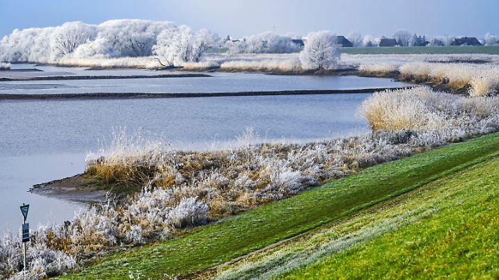 Naturschutzgebiet Zollenspieker an der Elbe in Kirchwerder, Hamburg, Deutschland