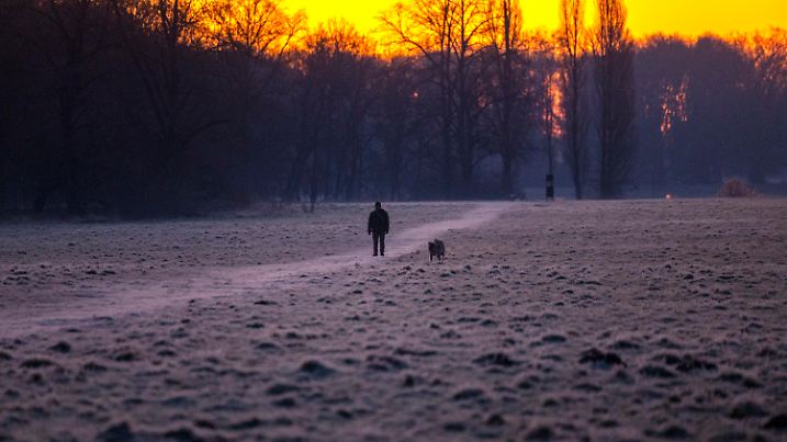 02.02.2025, Nordrhein-Westfalen, Köln: Ein Mann geht bei Sonnenaufgang mit seinem Hund über eine Wiese. Foto: Thomas Banneyer/dpa +++ dpa-Bildfunk +++