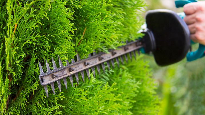 Gardener with a professional garden tools at work. planting of greenery.