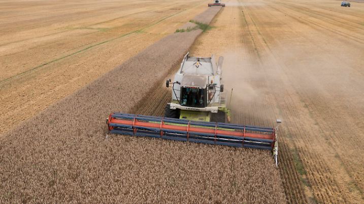 ARCHIV - 09.08.2022, Ukraine, Zghurivka: Ein Mähdrescher erntet Weizen. Russland sperrt sich gegen eine Verlängerung des Abkommens zur Ausfuhr von ukrainischem Getreide über das Schwarze Meer. Ein Auslaufen der Initiative hätte schwere Konsequenzen - für ärmere Länder und für die Welt. Das Abkommen endet am 17.07.2023 um Mitternacht Ortszeit (23.00 Uhr MESZ). Foto: Efrem Lukatsky/AP +++ dpa-Bildfunk +++