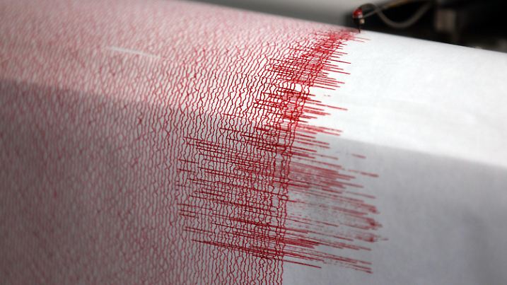ARCHIV - 13.02.2011, Nordrhein-Westfalen, Bergisch-Gladbach: Der Seismograph der Erdbebenwarte verzeichnet Ausschläge. (zu dpa: «Angst vor Beben: Weitere Messgeräte auf Santorini installiert») Foto: Oliver Berg/dpa +++ dpa-Bildfunk +++