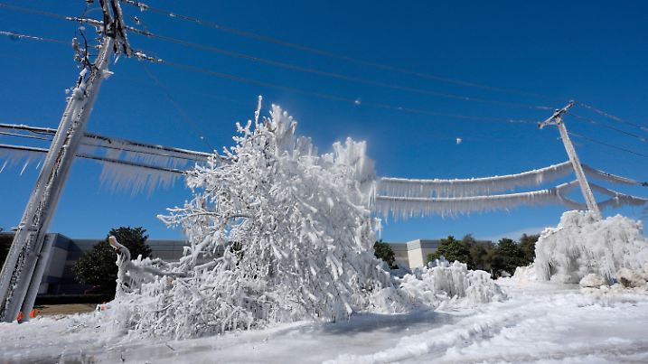 20.02.2025, USA, Carrolton: Eis, verursacht durch eine gebrochene Wasserleitung und kalte Temperaturen, bedeckt Vegetation und Stromleitungen. Foto: LM Otero/AP/dpa +++ dpa-Bildfunk +++