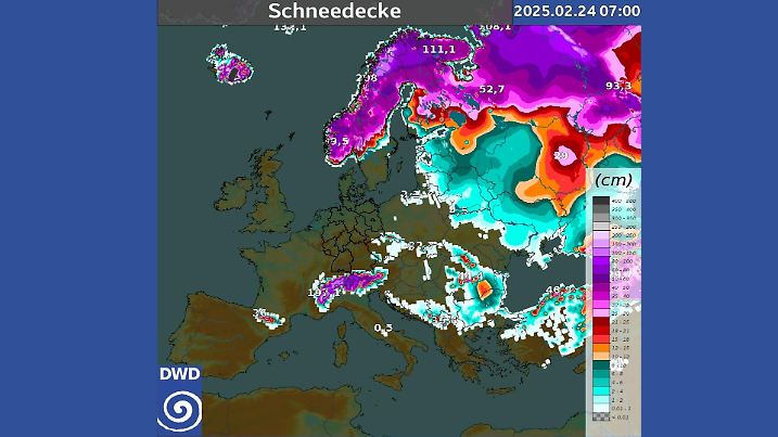 Schneedecke am 24.02.2025 07 MEZ. Initialisierungsdaten von ICON6-NEST.