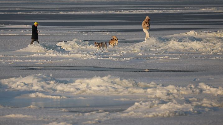 People walk with the dogs on the frozen waters of the Vistula Lagoon, a bay of the Baltic Sea, on a winter day near Kadyny, Poland, February 22, 2025. REUTERS/Kacper Pempel