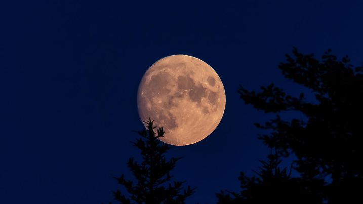 Close-up moon, Canon photography