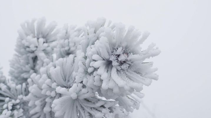 Raureif am Fichtelberg