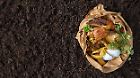environmental control.Sorting of food waste in the environmental packages.