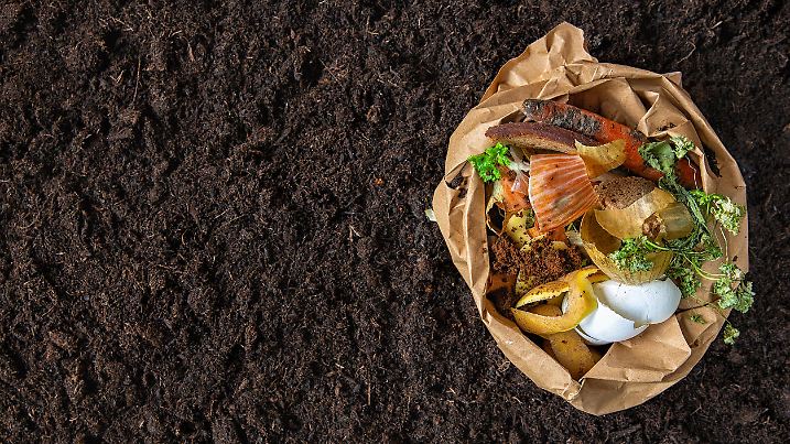 environmental control.Sorting of food waste in the environmental packages.