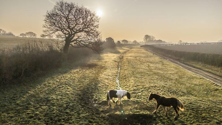 dpatopbilder - 09.03.2025, Großbritannien, Hardwick: Die Sonne geht über zwei Pferden auf einem Feld auf. In Teilen des Vereinigten Königreichs wird es an diesem Wochenende voraussichtlich wärmer sein als in einigen Urlaubsregionen im Mittelmeerraum. Foto: Danny Lawson/PA Wire/dpa +++ dpa-Bildfunk +++