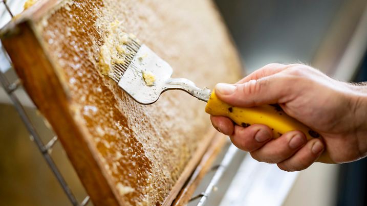 ARCHIV - 18.07.2023, Berlin: Ein Imker entdeckelt die Bienenwaben voll Honig, um die Wabe für die Honigernte zu schleudern. (zu dpa: «Honig im Visier von Lebensmittelkontrolleuren») Foto: Fabian Sommer/dpa +++ dpa-Bildfunk +++