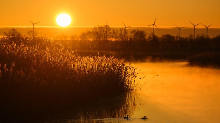 18.03.2025, Brandenburg, Lebus: Das warme Licht vom Sonnenaufgang scheint am frühen Morgen über der Landschaft am Grenzfluss Oder. Unter Hochdruckeinfluss übernimmt in Berlin und Brandenburg immer mehr der Frühling die Regie. Während es nachts zunächst noch immer frostig zugeht, werden die Tage sonnig und zunehmend wärmer, wie der Deutsche Wetterdienst in Potsdam mitteilte. Foto: Patrick Pleul/dpa +++ dpa-Bildfunk +++
