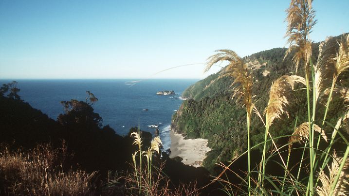 Erdbeben auf der Südinsel Neuseeland