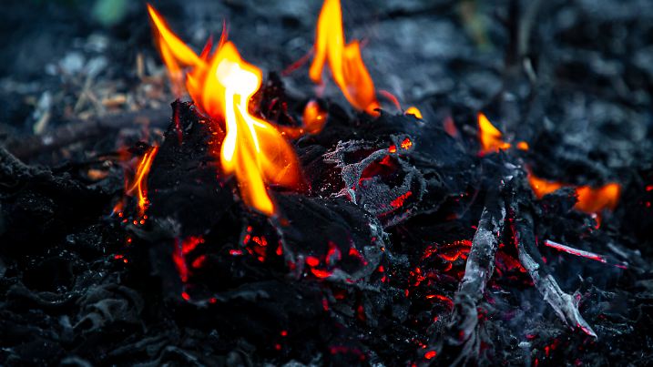 Feuer im Wald, Waldbrandgefahr ist erhöht