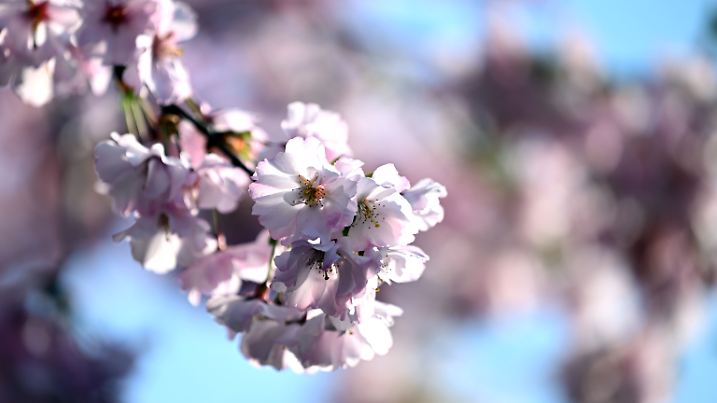 Mildes Frühlingswetter in Nordrhein-Westfalen