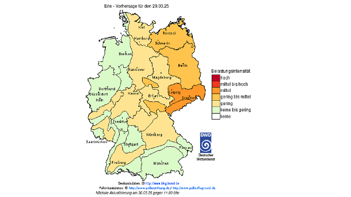 Pollenflug in Deutschland vom DWD