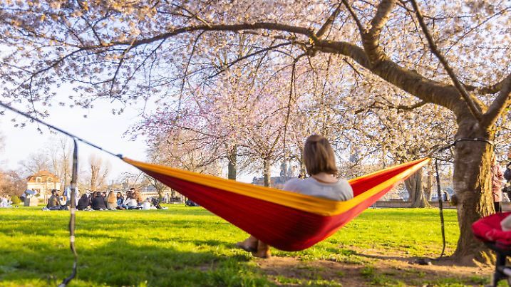 Frühling am Neustädter Elbufer