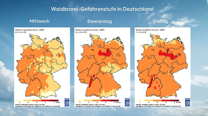 Waldbrandgefahr in Deutschland steigt regional auf zweithöchste Stufe