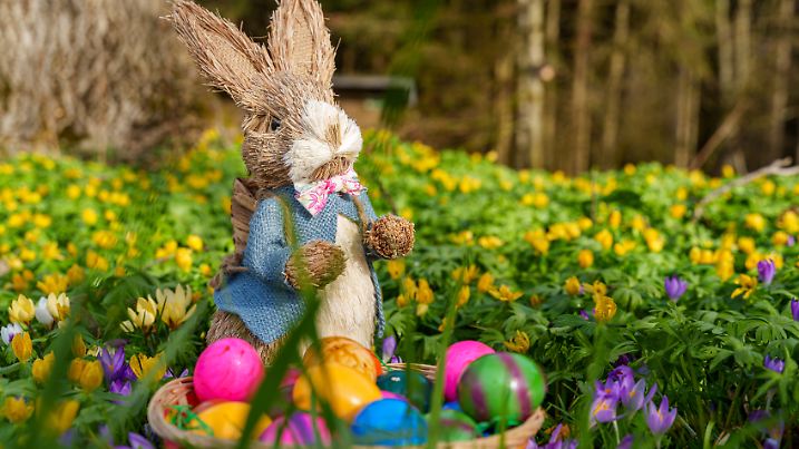 Frohe Ostern - Symbolfotos