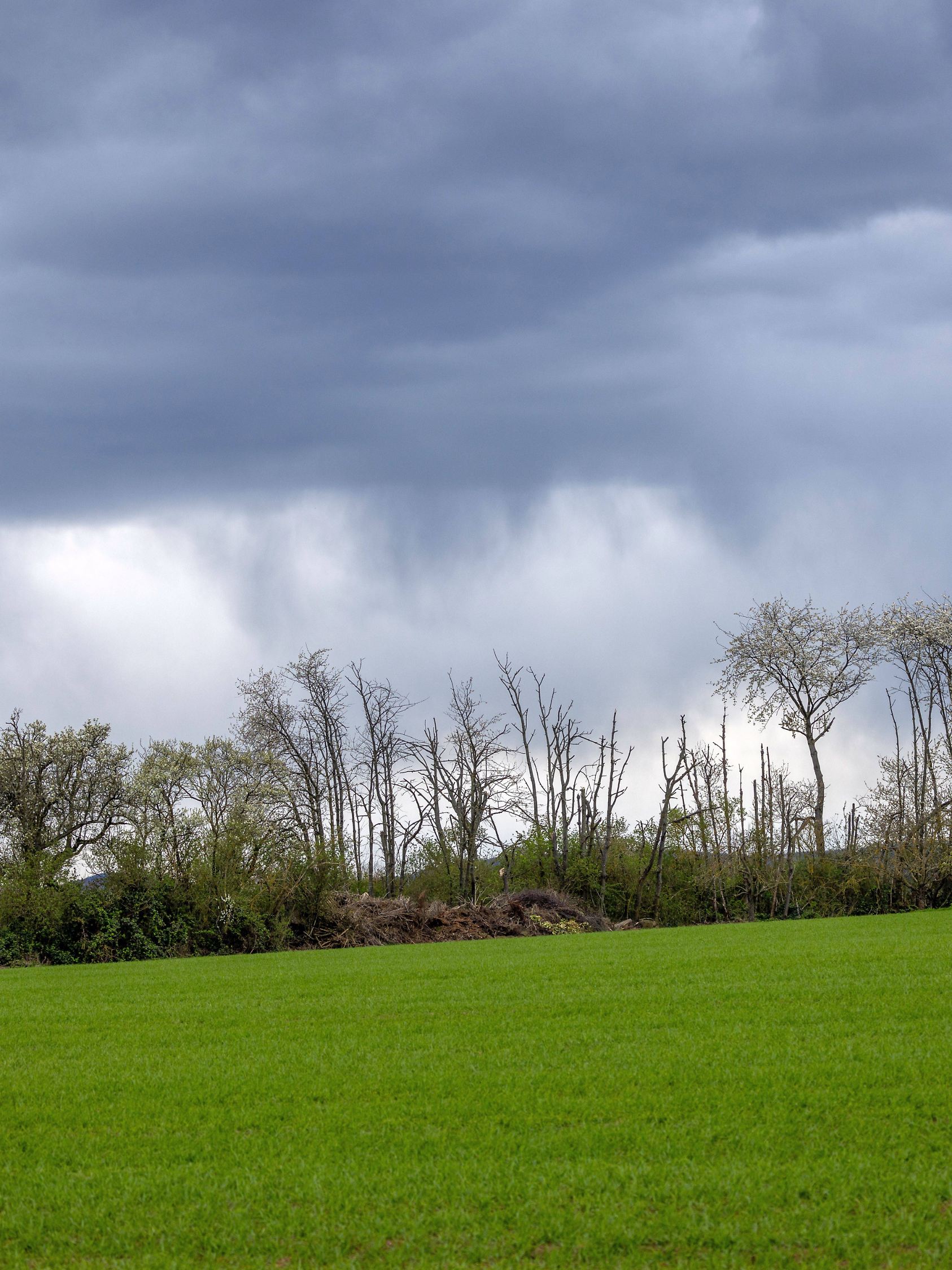 7 tage wetter kirchheim teck