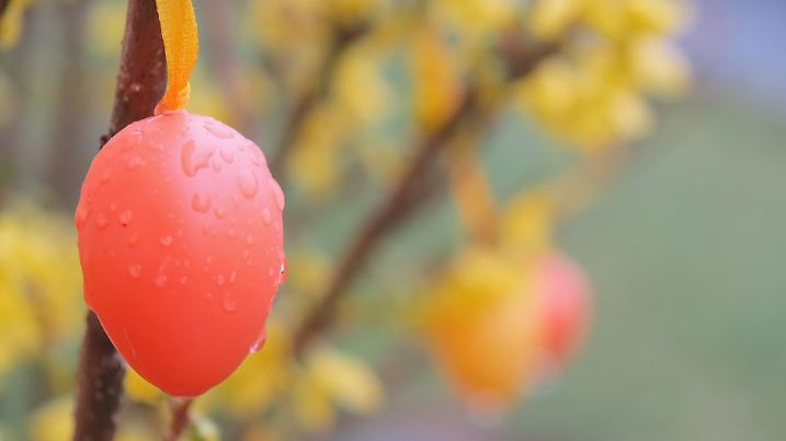 Schlechtes Wetter zu Ostern