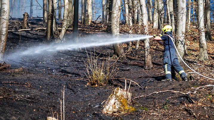 Waldbrände im Sauerland