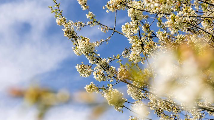 Themenbilder Aprilwetter