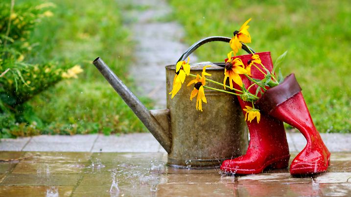 Regenschauer im Garten