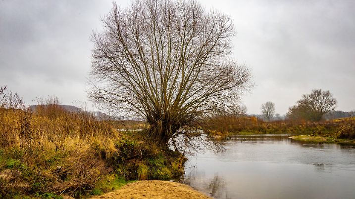 DEU, Deutschland, Nordrhein-Westfalen, Olfen, 12.12.2021: Projekt des Programmes Lebendige Lippe, Lippestrand, Renaturi