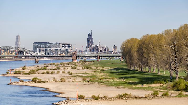 Niedrigwasser in Köln 08.04.2025