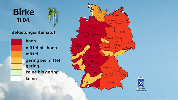 Vorhersage Birkenpollen
