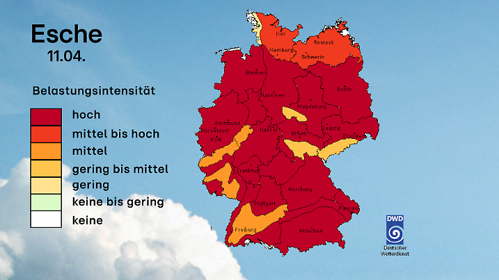 Vorhersage Eschenpollen