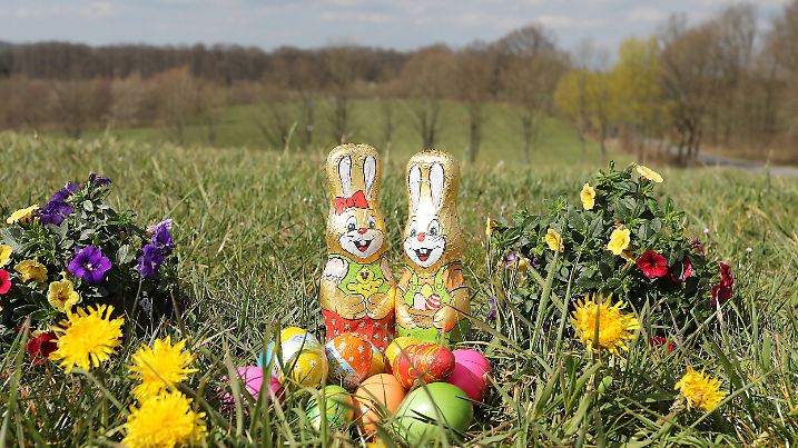 Osterimpressionen, Osterwetter, 07.04.2020 Bilderbuch-Osterwetter im Siegerland, Osterimpession, 07.04.2020 Osterhase, O