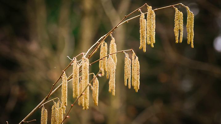 22.02.2024, Ranshofen, AUT, Unterwegs in Oberösterreich, Themenbild, Verschiedene Themenbilder, Symbolbild, Themenbild,