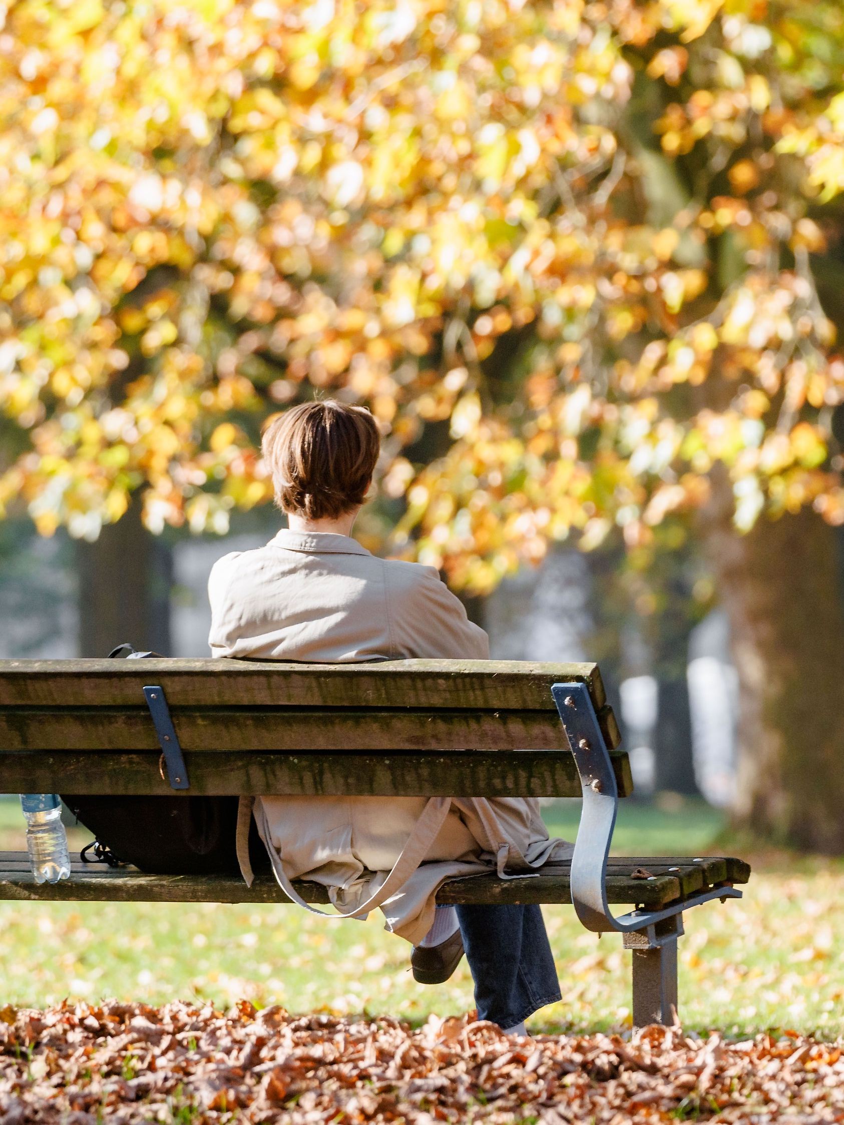 Herbstwetter Hamburg