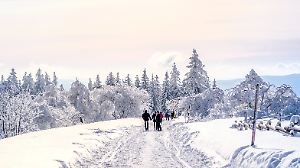 p678 vb fr+ Schwarzwald, Winterlandschaft