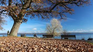 p12 vb k+ Ein Herbsttag in Tutzing (Landkreis Starnberg)