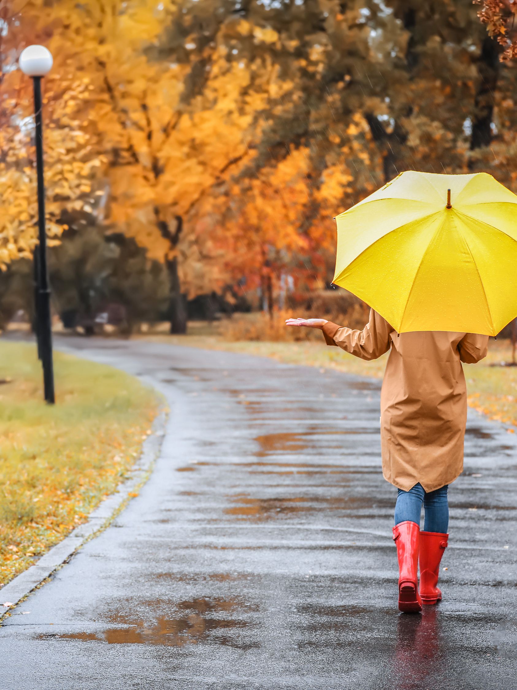 Frau mit Regenschirm spaziert an einem regnerischen Herbsttag in einem Park