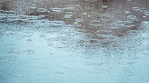 Pampas unter Wasser: Wie Argentiniens Rekordregen alles auf den Kopf stellt