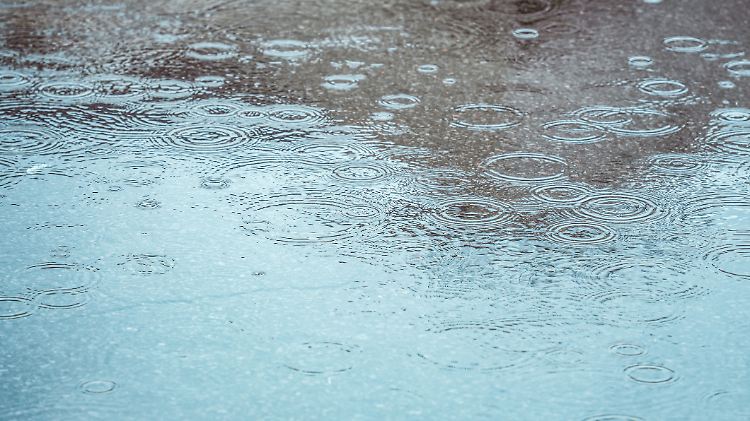 Pampas unter Wasser: Wie Argentiniens Rekordregen alles auf den Kopf stellt