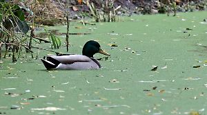 Ruhiges Herbstwetter im Norden