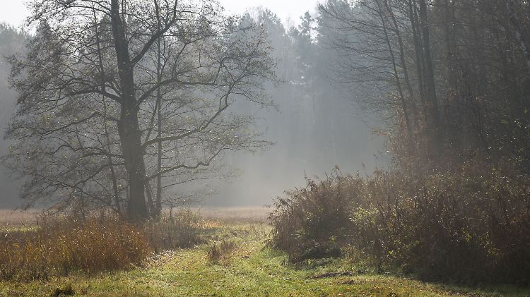 Wetter in Brandenburg